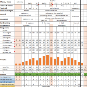 Jaarplanner (sjabloon)